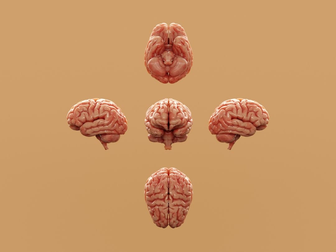 Ultimate Checklist for Traumatic Brain Injury Legal Rights